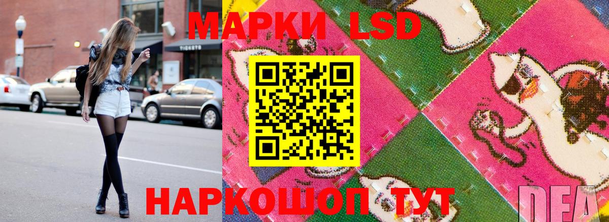 Прохладный  Наркотические марки 1,8мг  Наркотические марки 1,8мг  Вход с VPN 