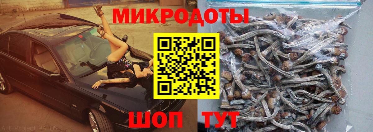 Прохладный  Галлюциногенные грибы GOLDEN TEACHER  Вход с VPN 
